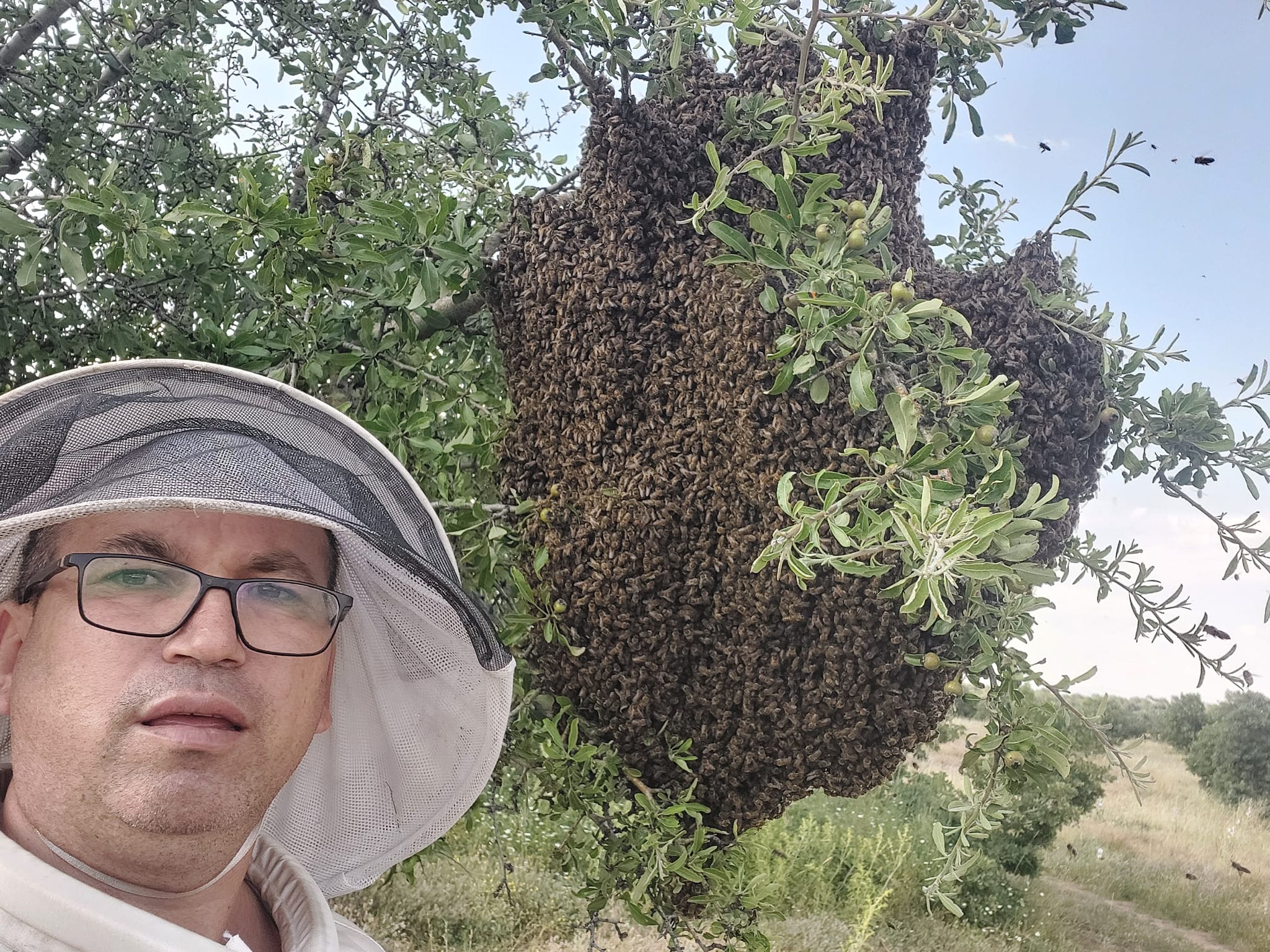 karakovan balcısı